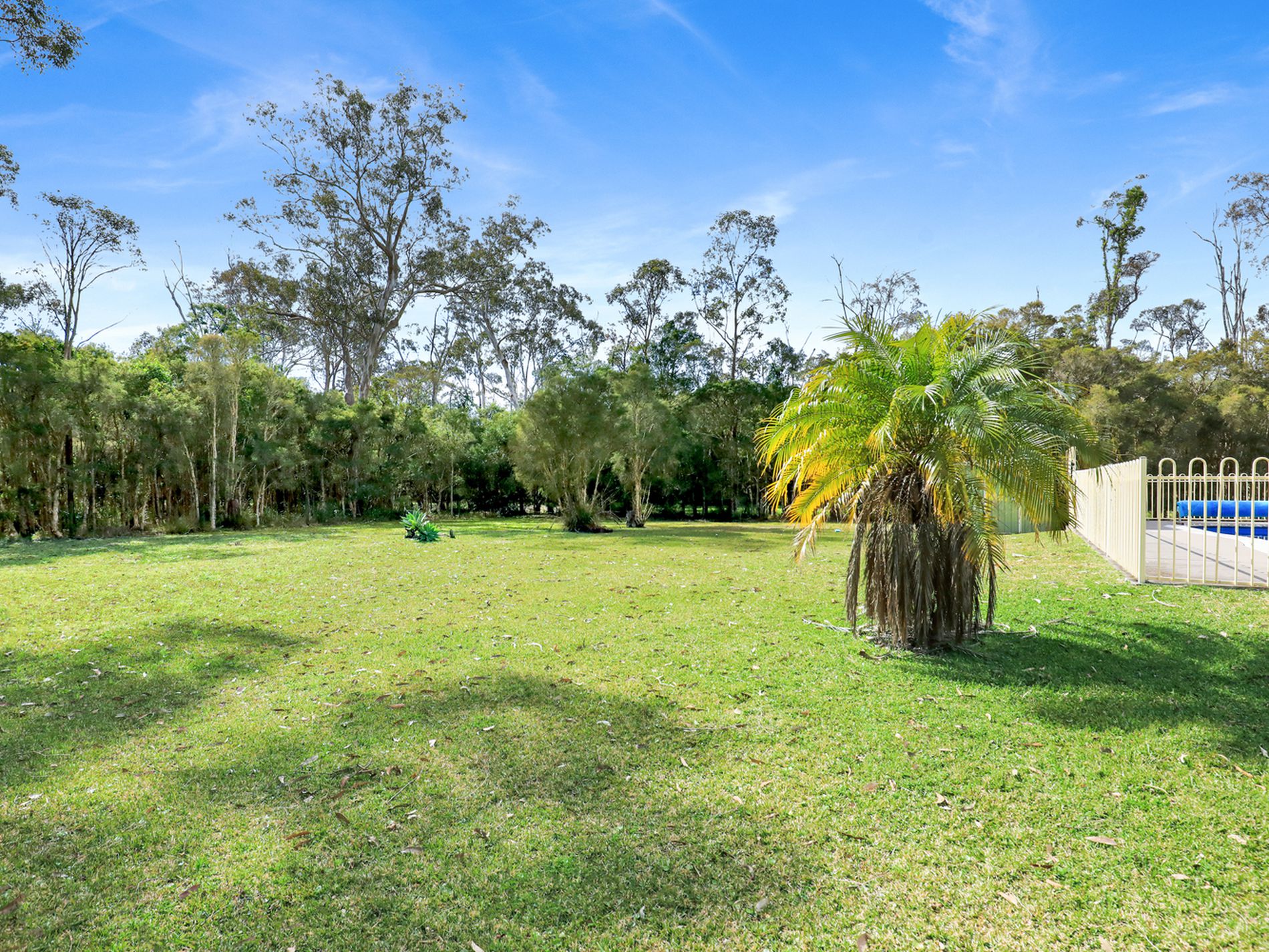 31 Federation Drive, Medowie