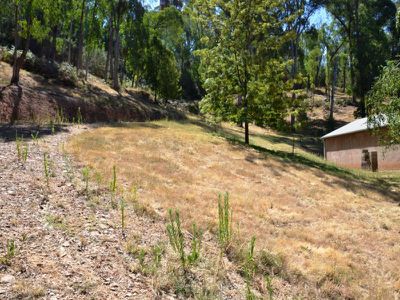 Lot 9, Diggings Road, Tawonga