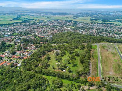 Albion Park