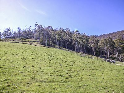 Lot 1 Walters Road, Wattle Grove