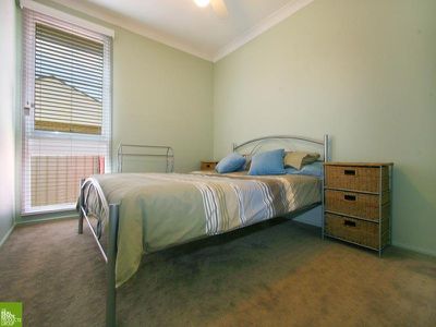 Mount Warrigal