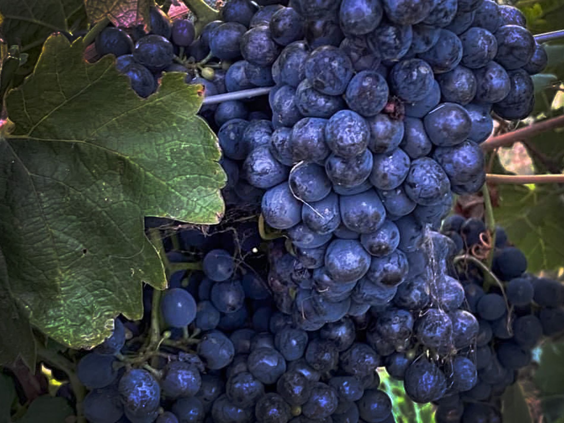 470 Northern Highway, Heathcote