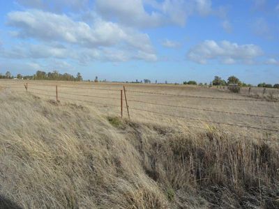 1354 Murrabit-Koondrook Road, Myall