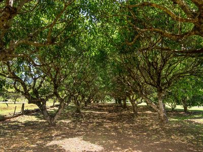 711 Mountain Top Road, Nimbin