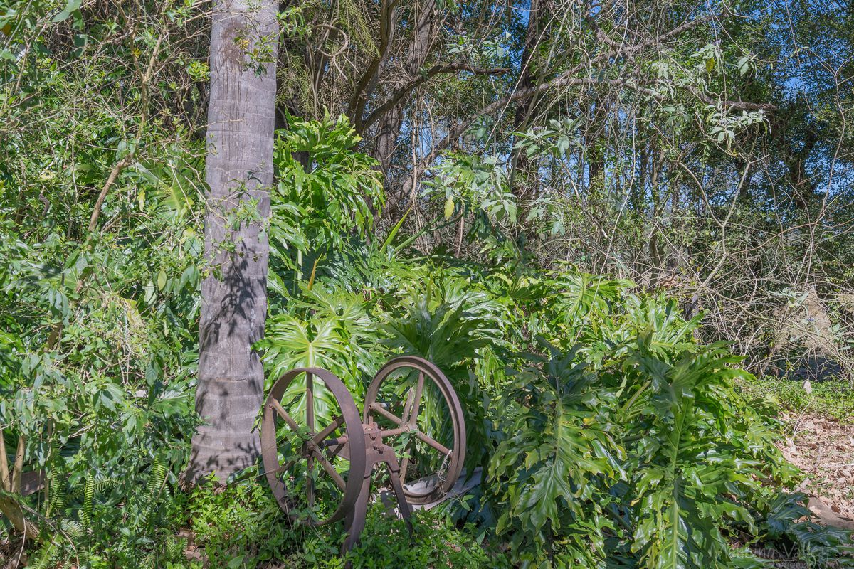 1680 Nowendoc Road, Mount George