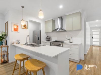 58 Andrew Street, White Hills