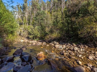 352 Judds Creek Road, Judbury