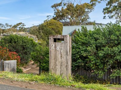 247 Carlton River Road, Carlton