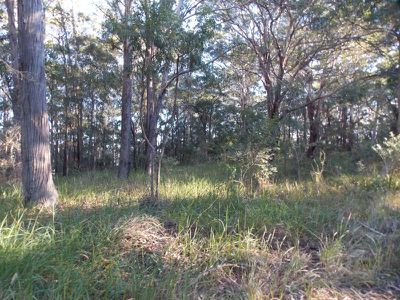Ourimbah
