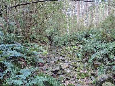 1529 Huon Highway, Lower Longley