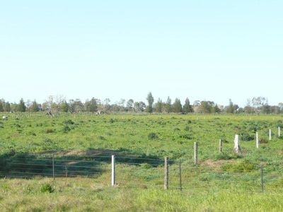 Murray Valley Highway Randalls Road, Wee Wee Rup