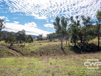 Lot 21 Halls Creek Road, Bendemeer