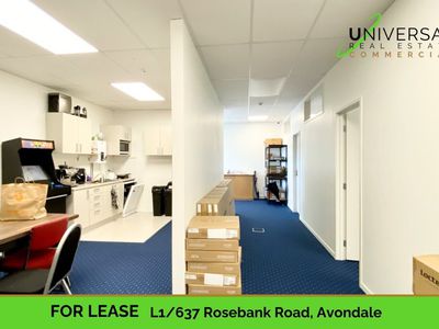 L1 / 637 Rosebank Road, Avondale