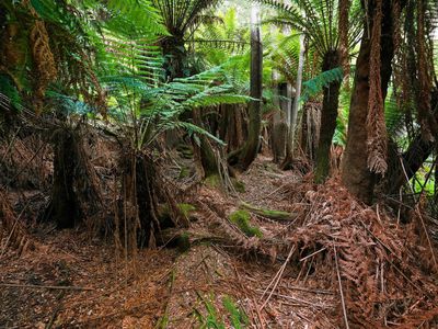 107 Wielangta Road, Kellevie