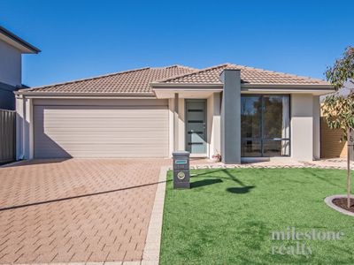 100 Mornington Crescent, Wandi