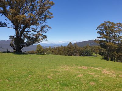 Lot 1 (51 Acres) Coal Mine Road, Kaoota