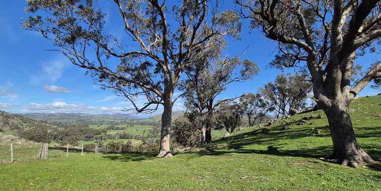 10 Dunnings Road, Balmattum