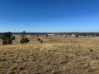 117 Hillside Lane, Parkes