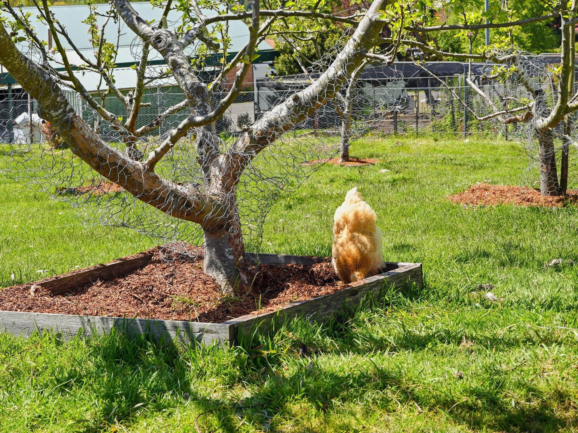 30 Judds Hill Road, Geeveston