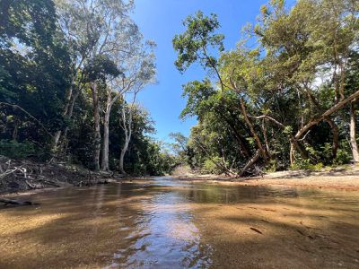 556 Mount Amos Road, Cooktown