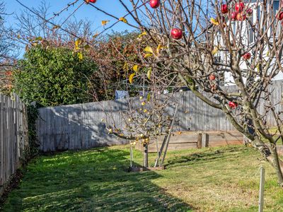 4 Vista Court, Deloraine