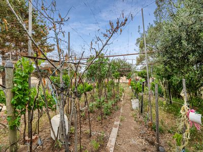 820 Derrinal-Crosbie Road, Heathcote