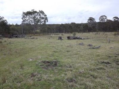 Lot 18 Torrington Road, Torrington