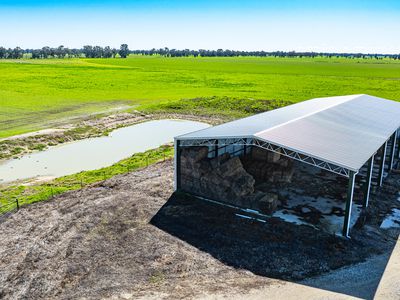 'Pastoria Park' 205 Balldale Road, Hopefield