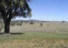 Lot 8 Summer Hill Lane, Orange