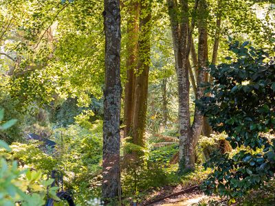 85 Douglas Road, Mount Macedon