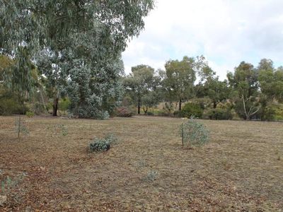239 Heathcote-Nagambie Road, Heathcote