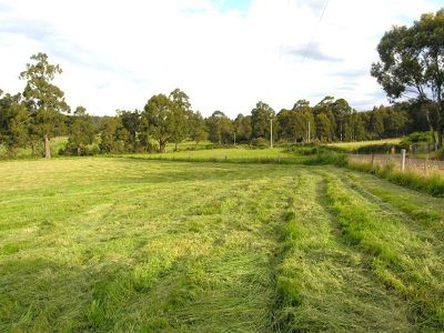 Reids Road, Cradoc