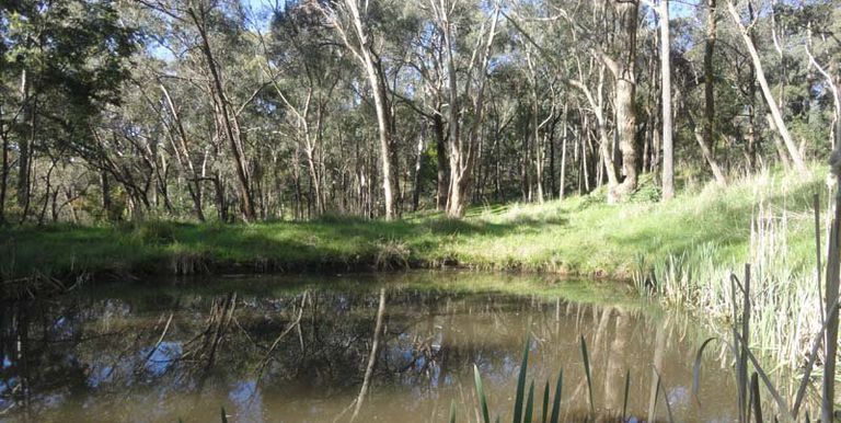 1261 Harrys Creek Road, Strathbogie