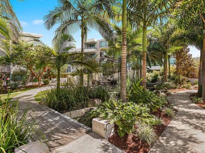 8I / 20-28 Bayview Street , Runaway Bay