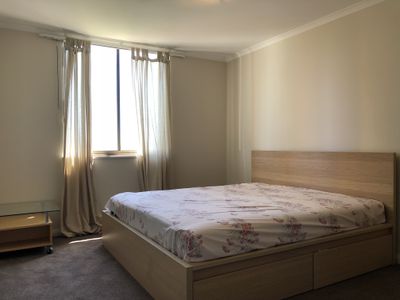 1201 / 66 Bowman Street, Pyrmont