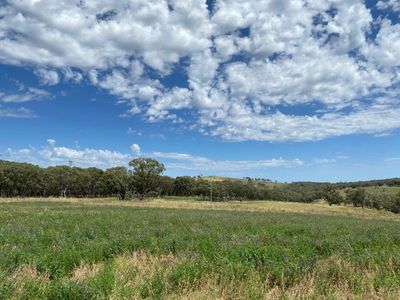 4570 Black Stump Way, Coolah