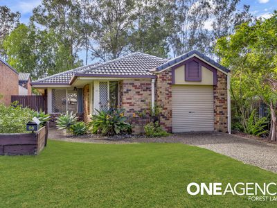 56 Settlers Circuit, Forest Lake