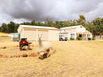 575 Hardings Lane, Tooborac