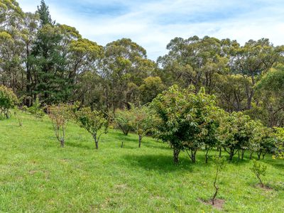 55 Harris Road, Lenswood