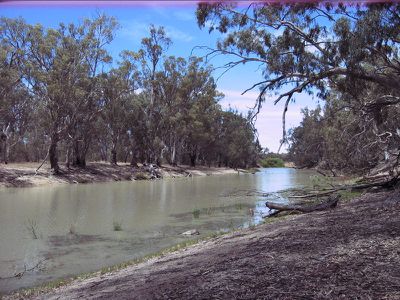 Lot 15 Edward River Road, Moulamein