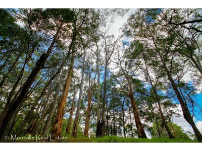 589 Nambour Mapleton Road, Mapleton