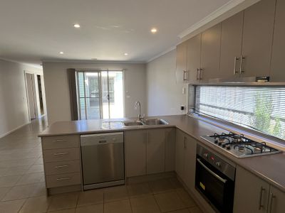 47 Treefern Street, Leopold