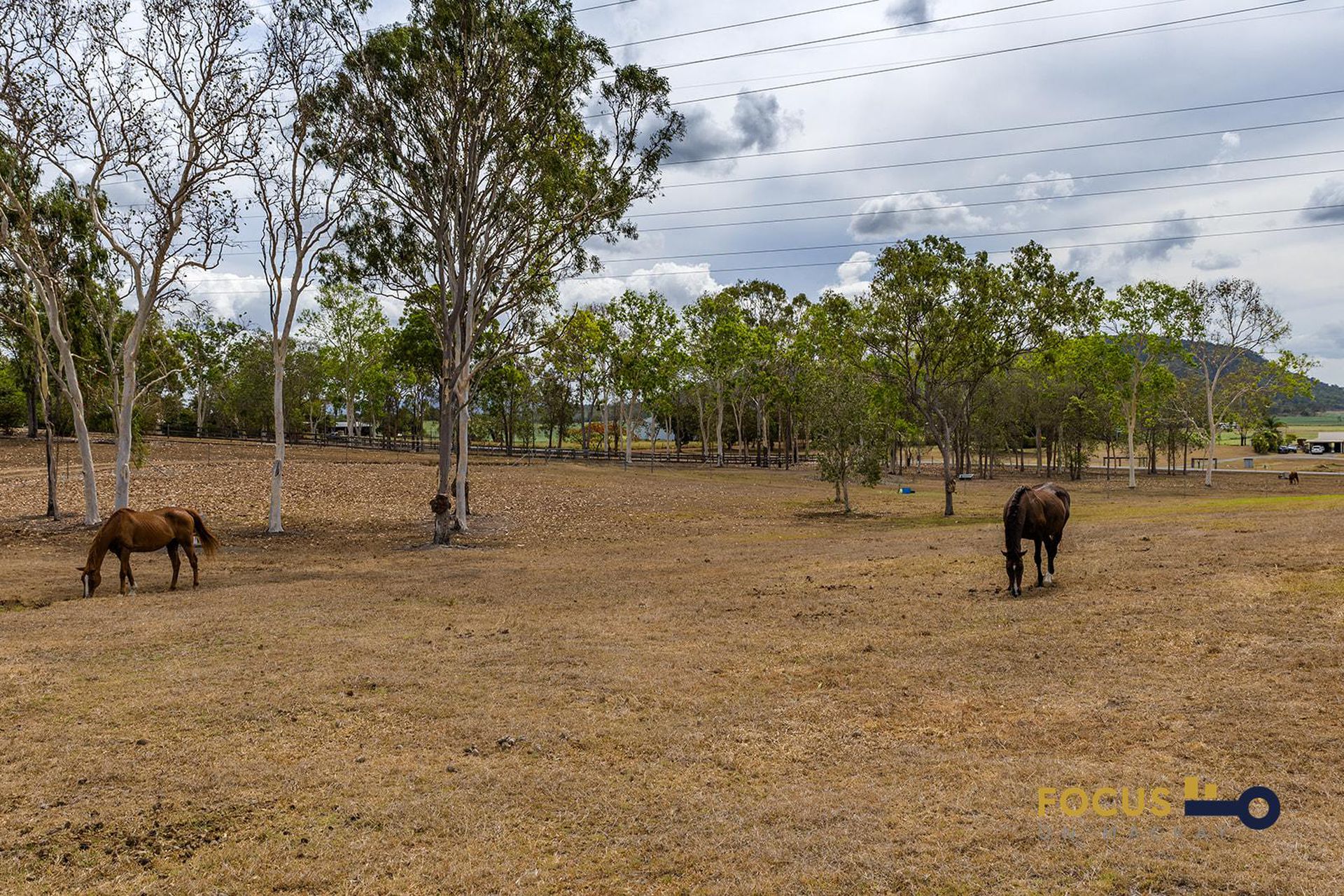 393 Pleystowe School Road, Greenmount