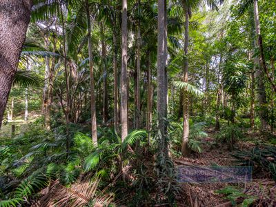 6 Coolamon Avenue, Mullumbimby