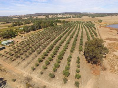 Heathcote