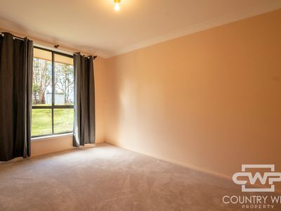 31 Hunter Street, Glen Innes