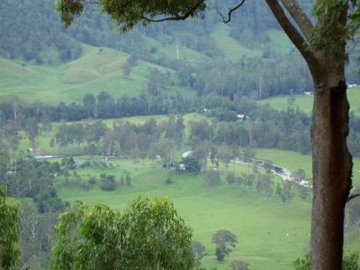 Maleny
