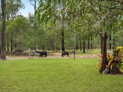 5 Richwood Court, Kensington Grove