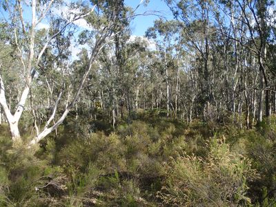 15 Moran Court, Graytown
