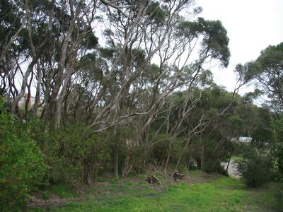 65 Murray Street, Rye